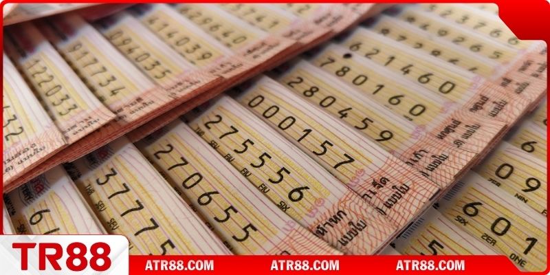 Cách nuôi dàn đề chi tiết và đơn giản