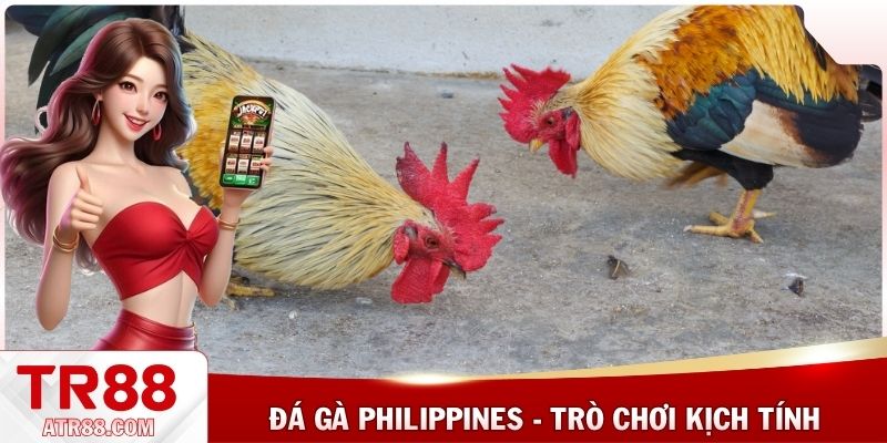 Đá gà Philippines