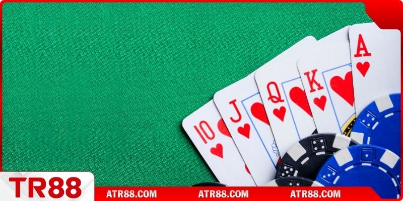 Điểm thu hút của sexy ACE dành cho bạn