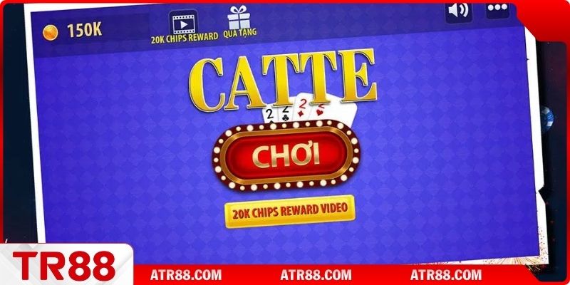 Giới thiệu về catte là gì?