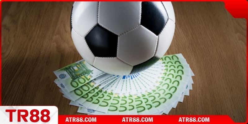 Phù hợp cho đa dạng người tham gia